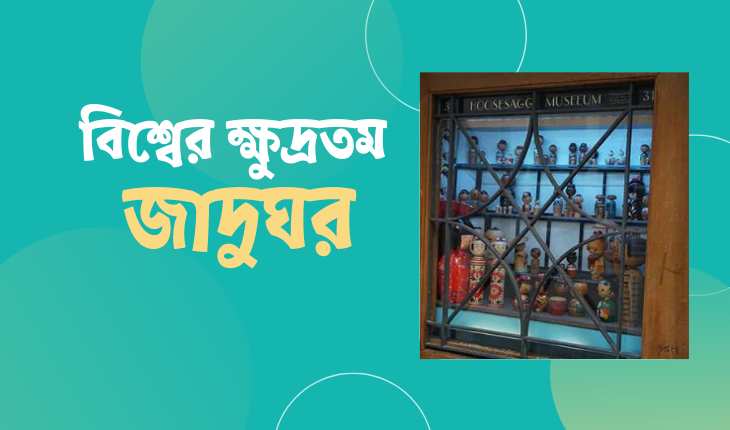 প্যান্ট পকেট মিউজিয়াম: বিশ্বের ক্ষুদ্রতম জাদুঘর!