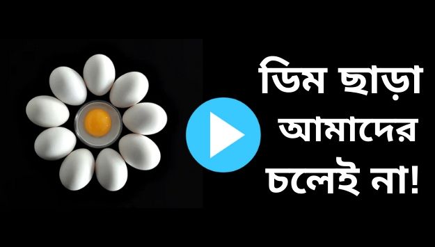 ডিম ছাড়া আমাদের চলে না পার্ট-২